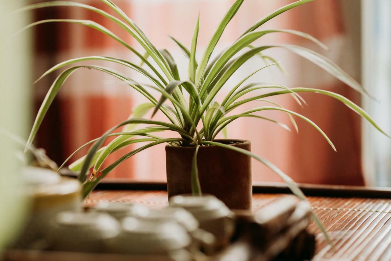 Bamboo Homestay Hue Dış mekan fotoğraf